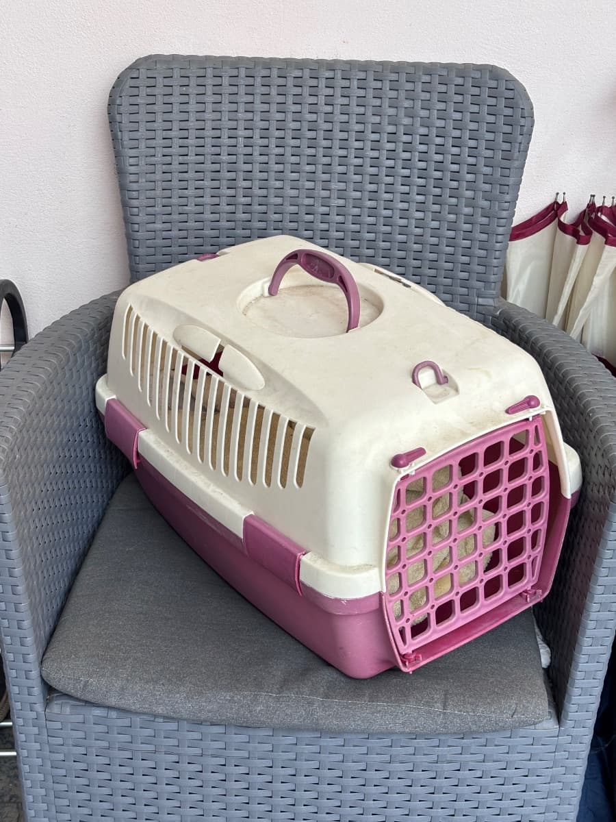 Trasportino per animali