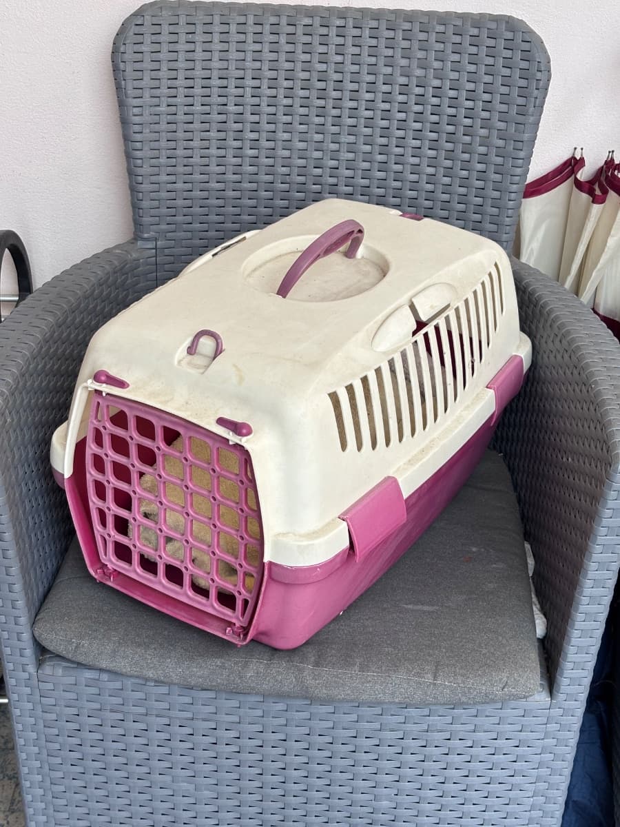 Trasportino per animali — foto 2